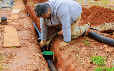 Top 5 Signs Your Yard Needs a French Drain